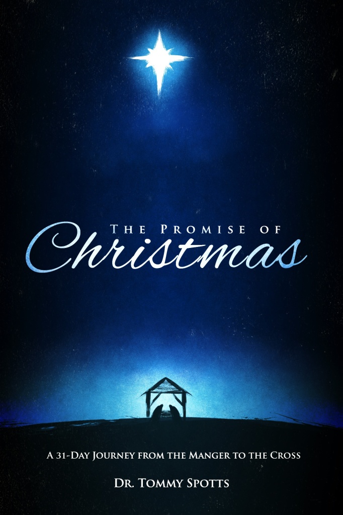 the_promise_of_christmas_cover